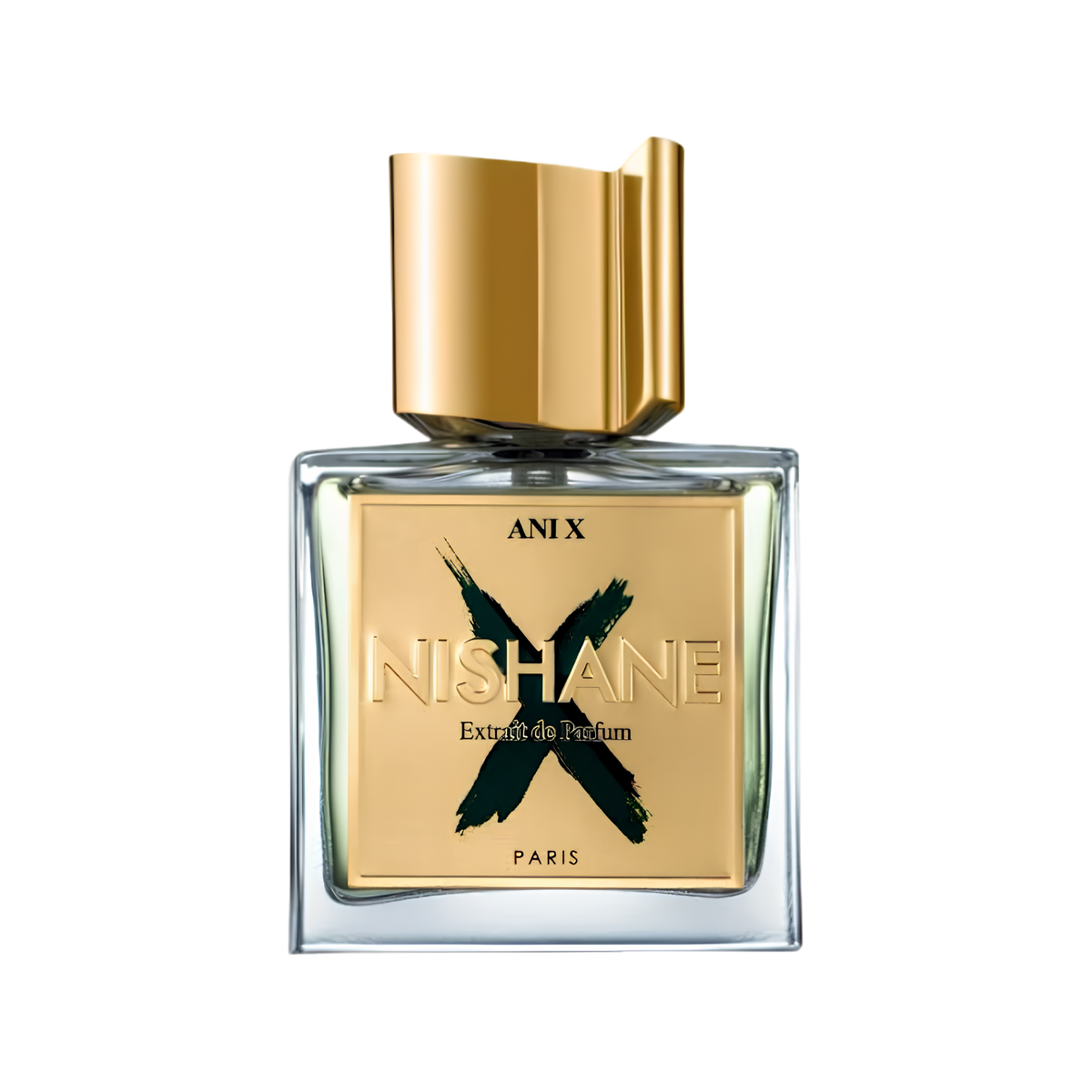 Nishane Ani X